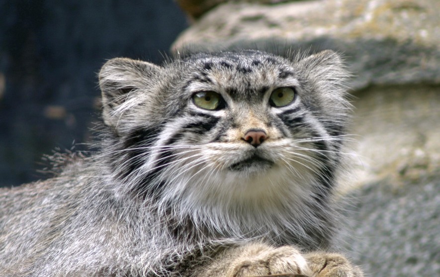 Scanned Photo-21_edited.jpg