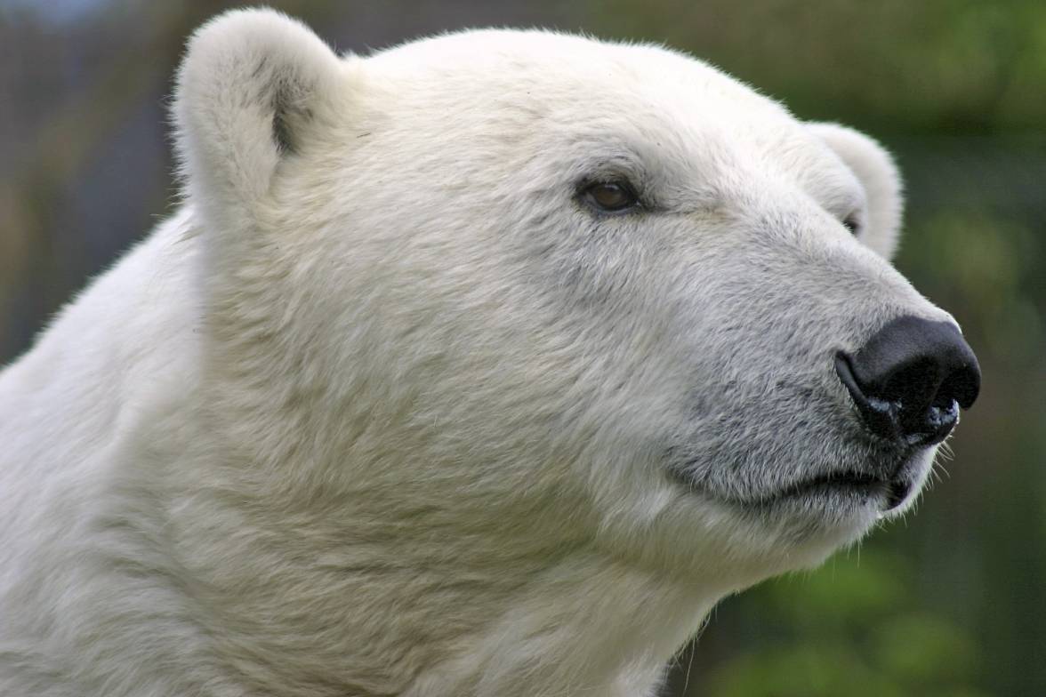 Scanned Photo-15_edited.jpg