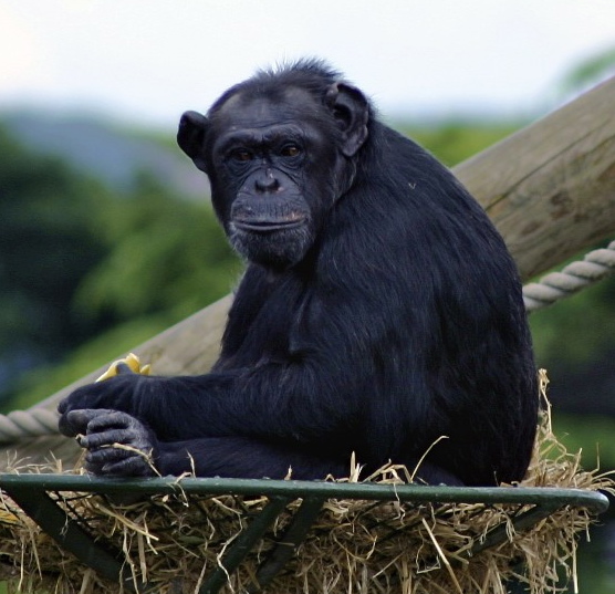 Scanned Photo-12.jpg