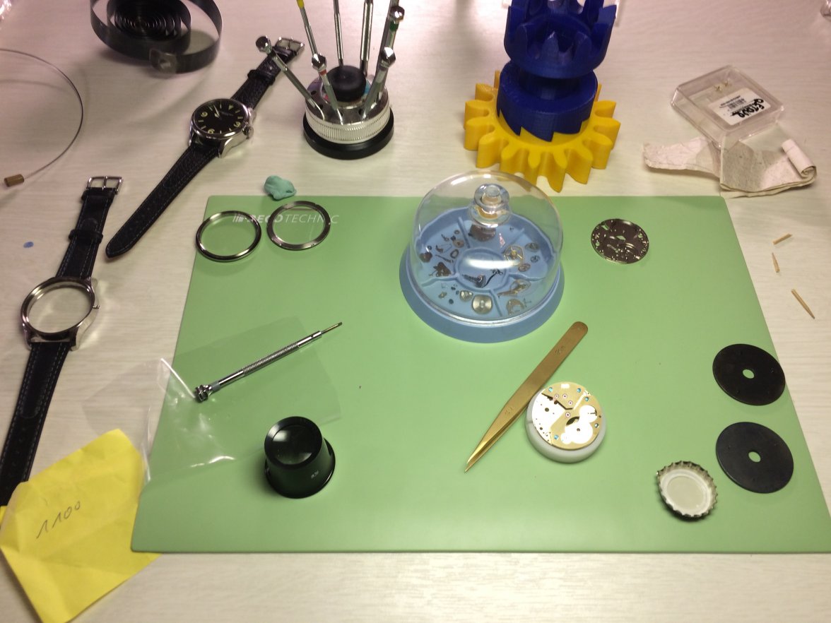 F5148F1A-866D-4627-B602-74AB937F60A3.jpeg F5148F1A-866D-4627-B602-74AB937F60A3.jpeg