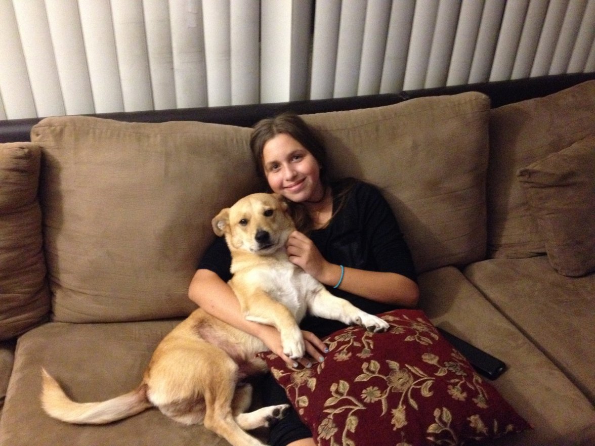 Simba and Bella 2016.JPG