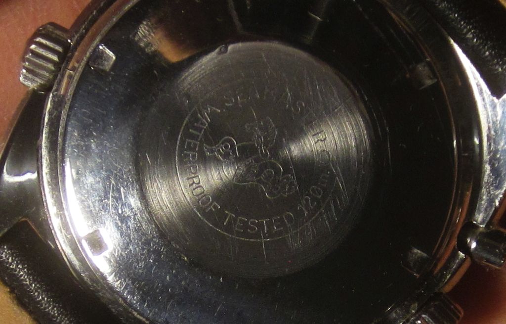 ST back IMG_7680.jpg