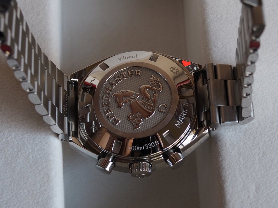 back 1_resize_resize.JPG