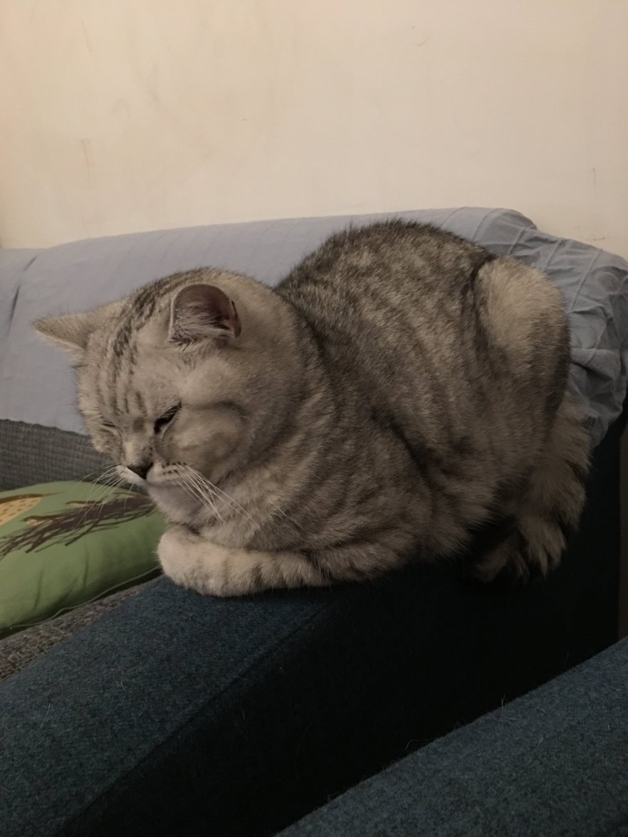 51F94906-74AE-4F44-B25B-BF55600E1559.jpeg 51F94906-74AE-4F44-B25B-BF55600E1559.jpeg