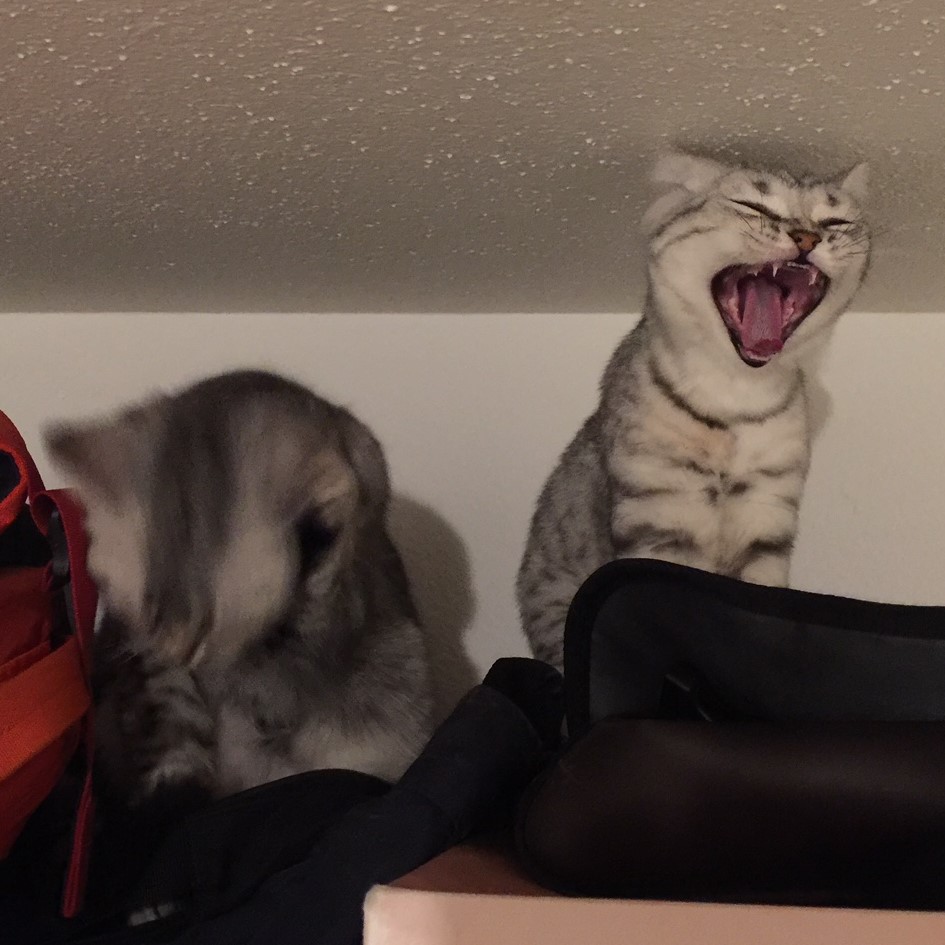 IMG_7320.jpg IMG_7320.jpg