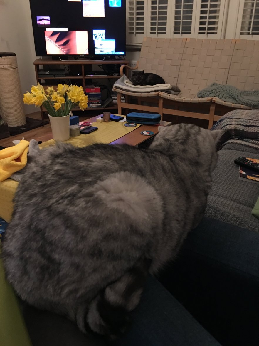 F4F2C711-2043-453E-8453-8E15BB6D08A0.jpeg F4F2C711-2043-453E-8453-8E15BB6D08A0.jpeg