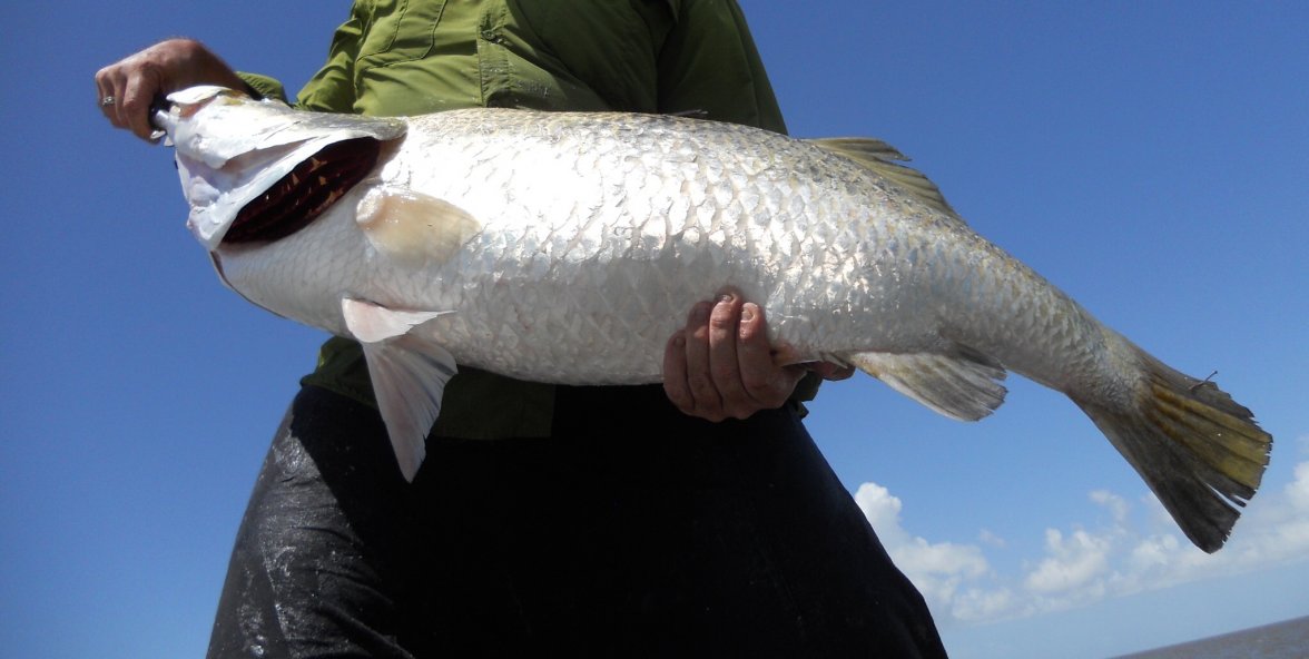 image.jpeg image.jpeg