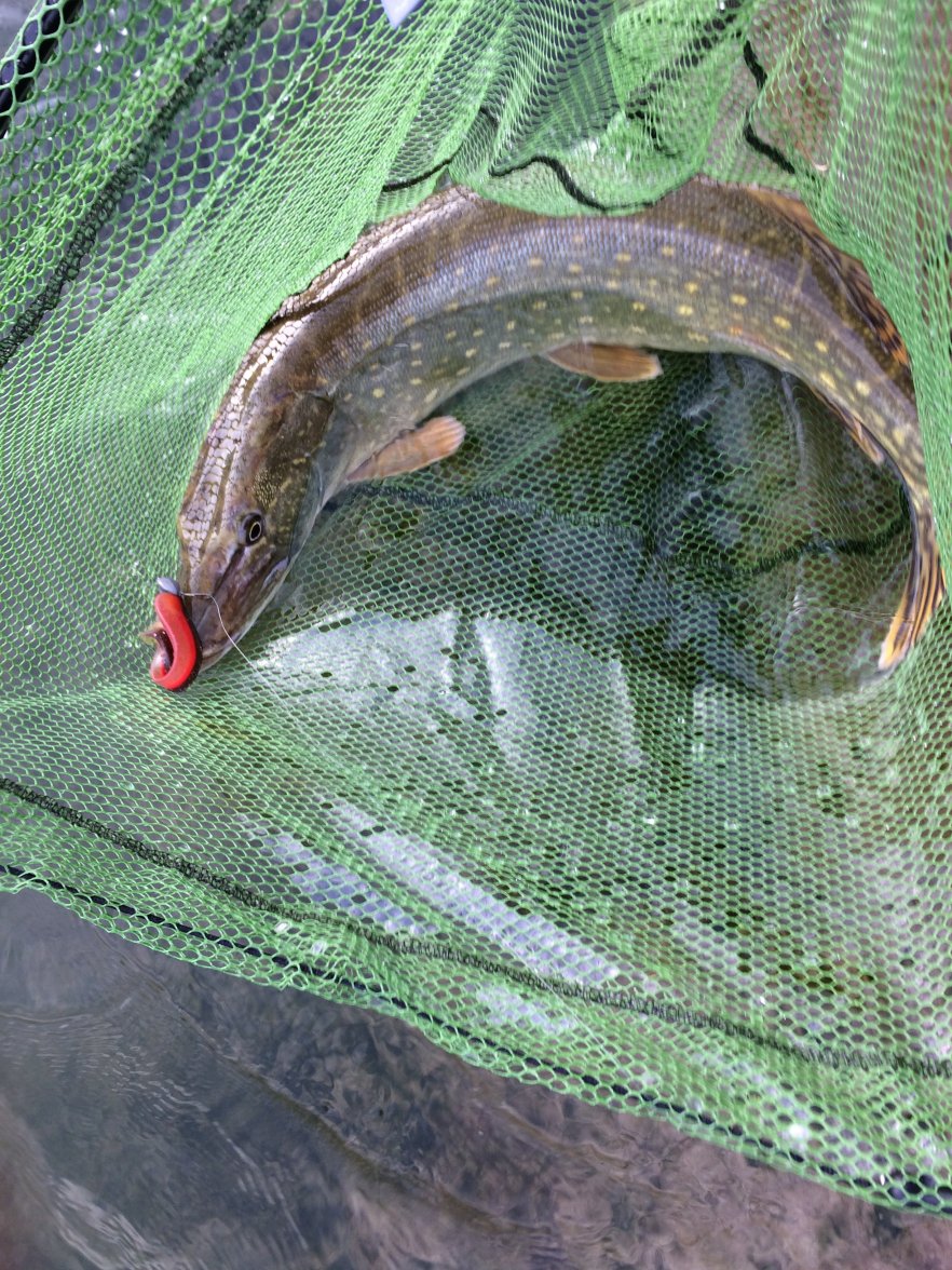 FullSizeRender 2.jpg