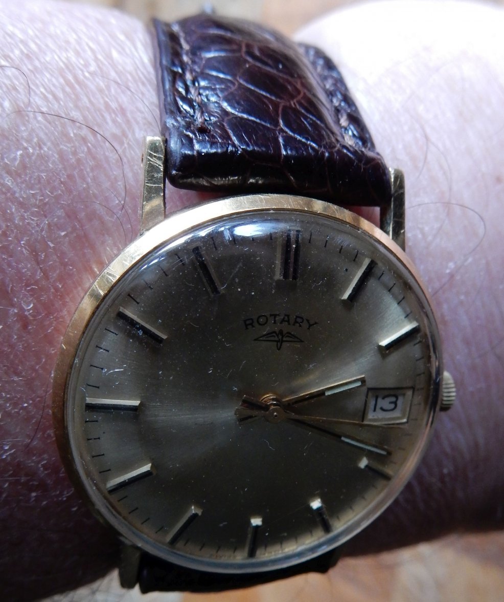 OSTRICH ON ROTARY 10.jpg