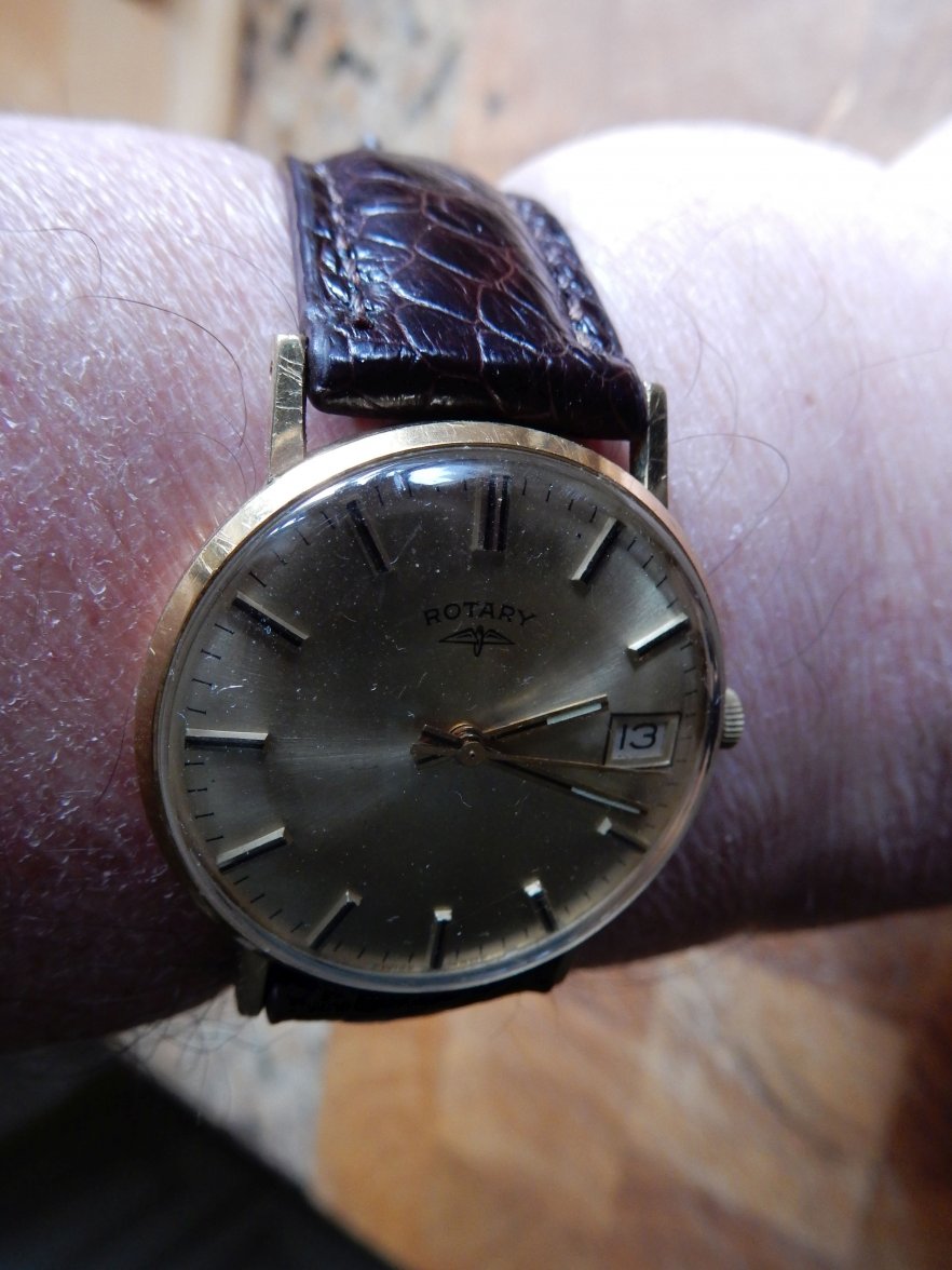 OSTRICH ON ROTARY 13.jpg