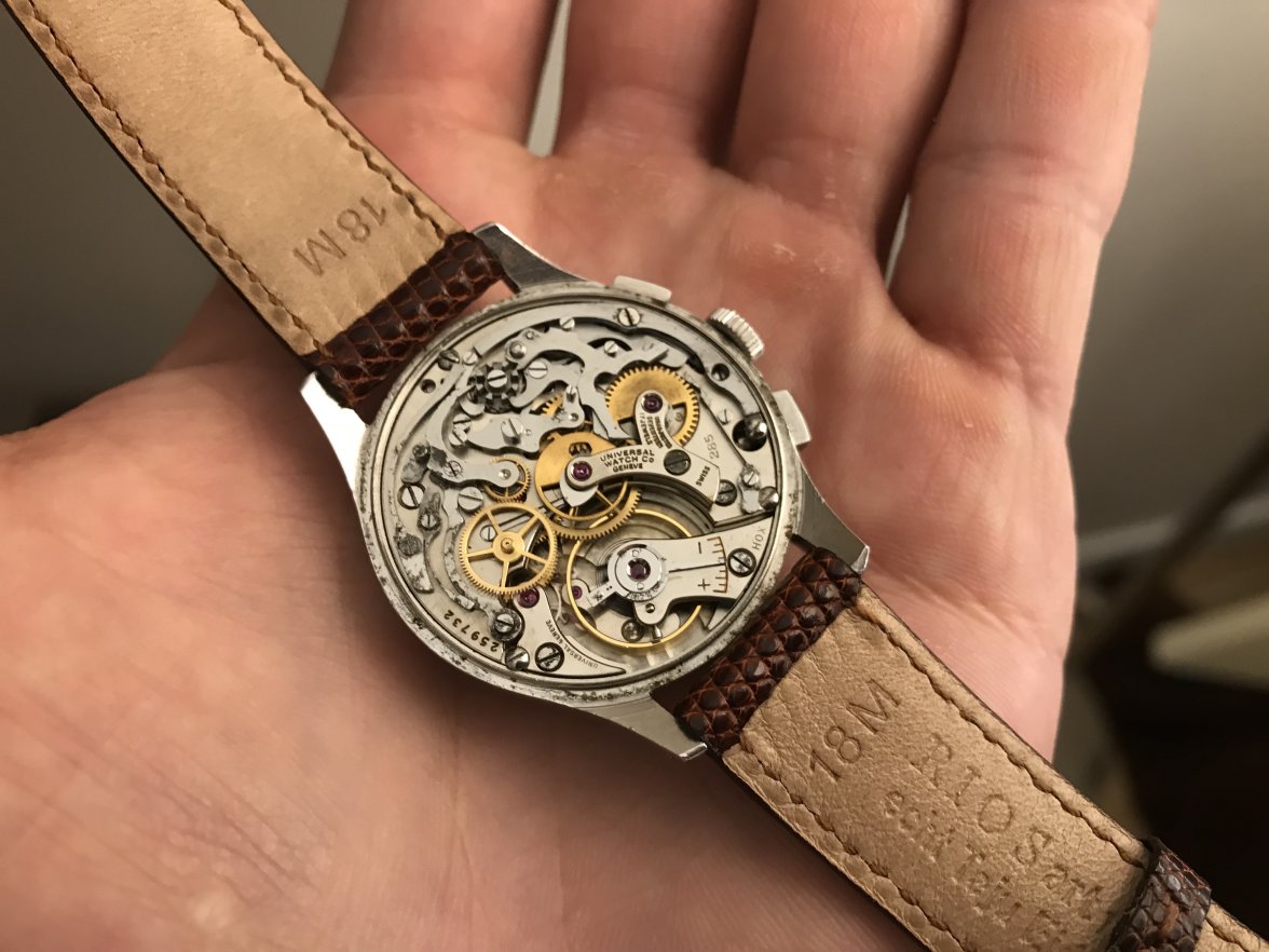 6193C9DE-1472-4319-8800-E8956AF3F318.jpeg 6193C9DE-1472-4319-8800-E8956AF3F318.jpeg