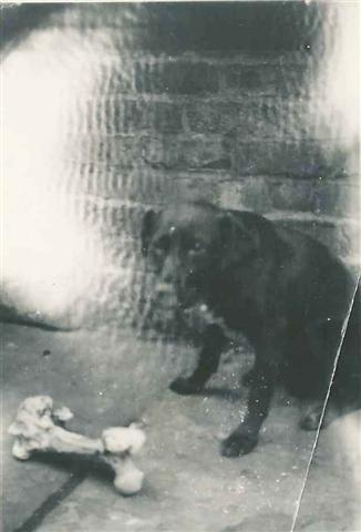 2012-05-01 13-44-01 copy.jpg