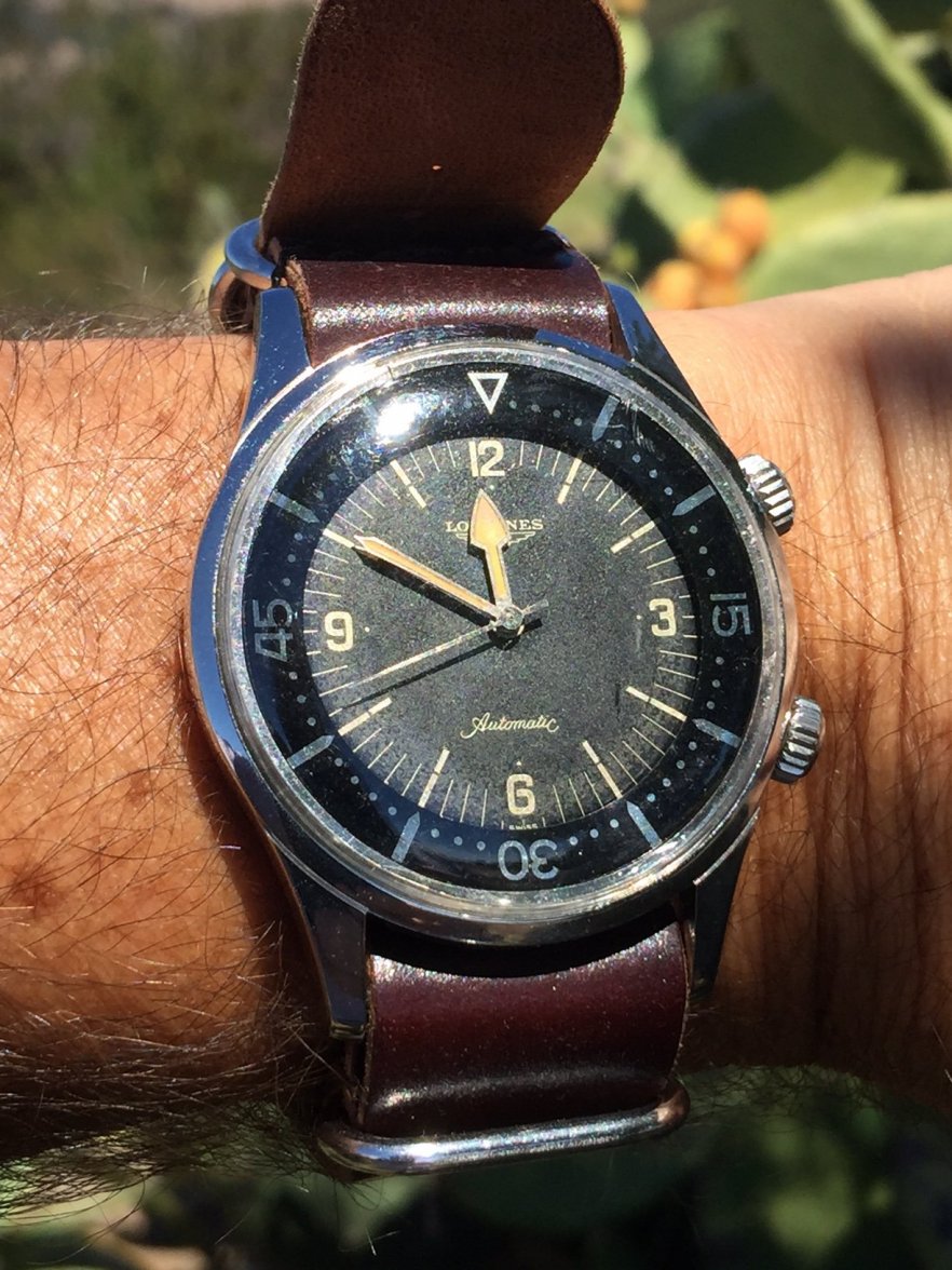 Longines Malibu.JPG