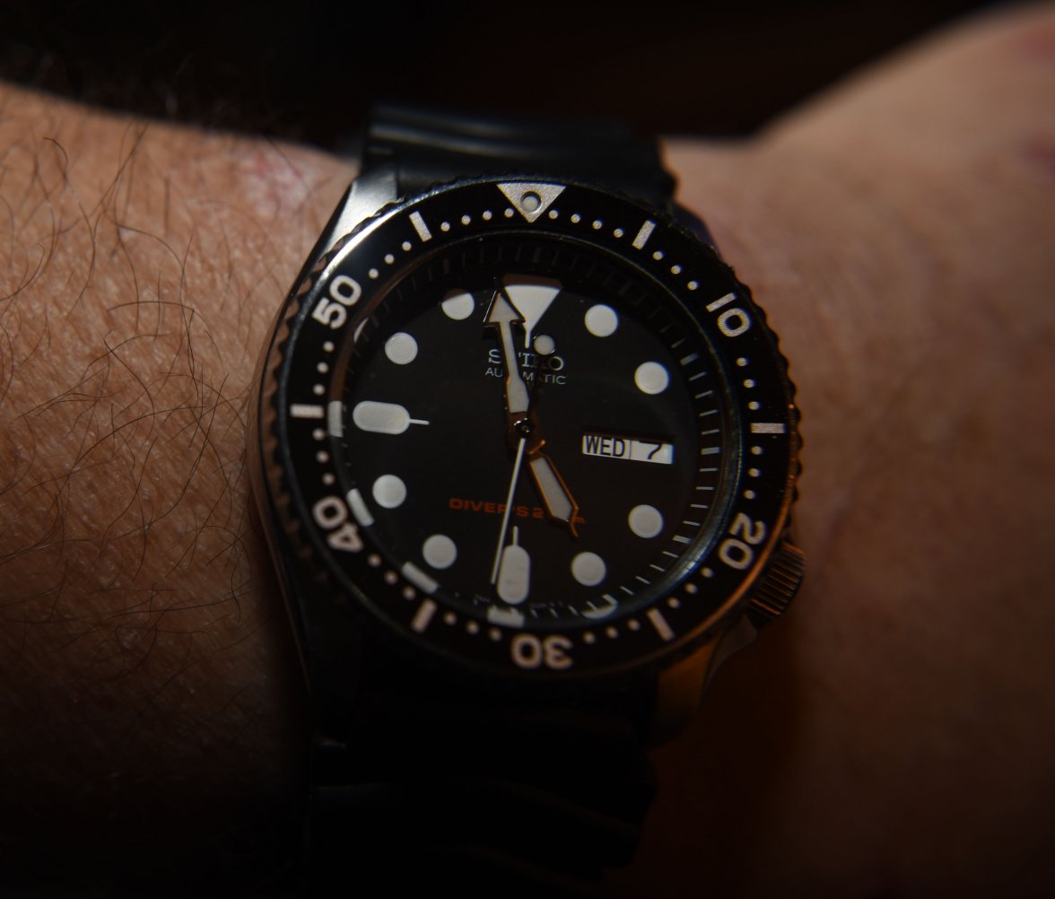 DSC_1142skx.jpg
