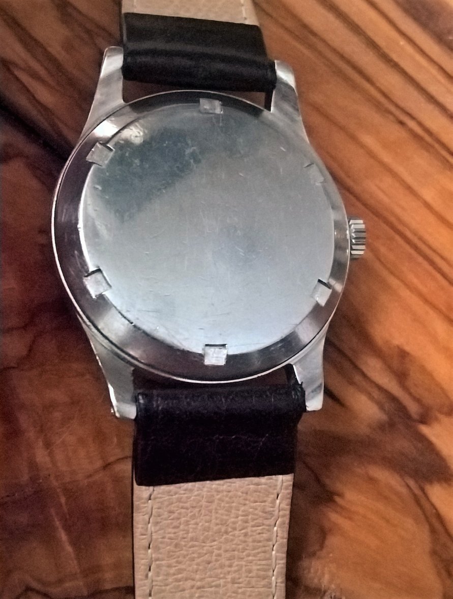 WP_20180312_17_12_54_Pro.jpg WP_20180312_17_12_54_Pro.jpg