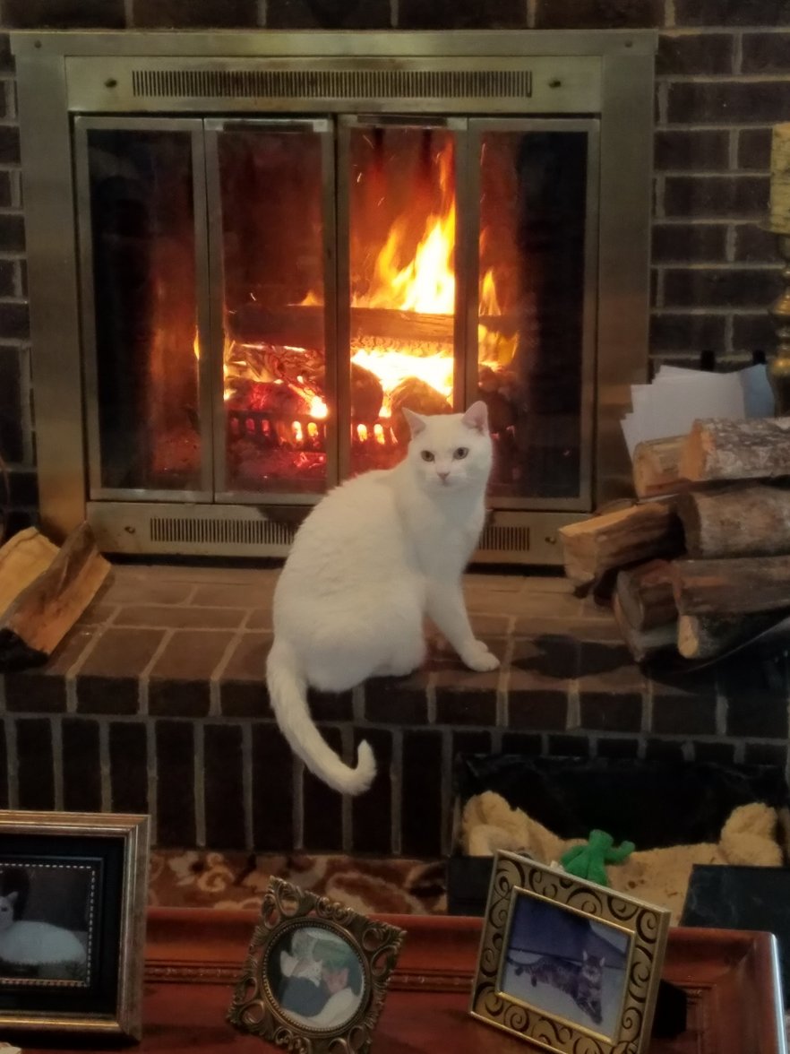 20180311_155212.jpg 20180311_155212.jpg