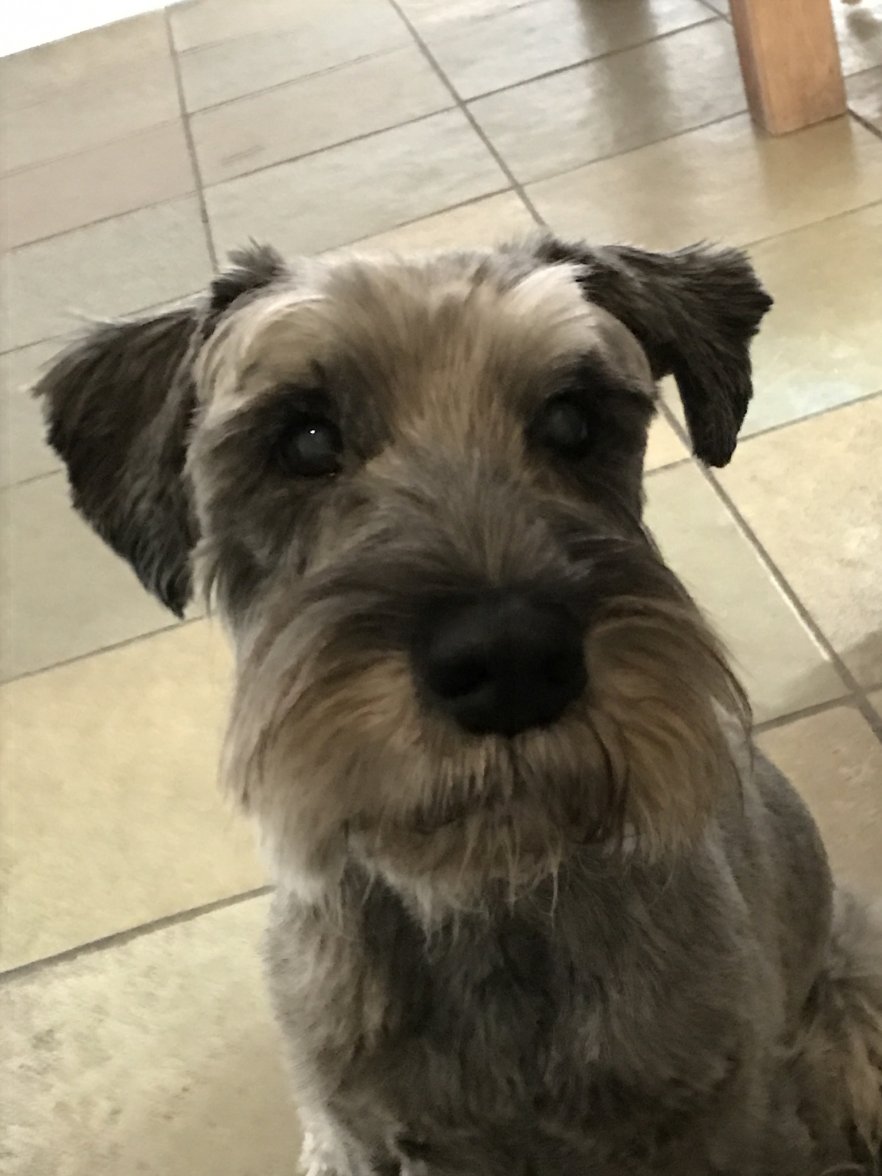 7783CF3C-D432-48AB-8AE8-9A584E73F7A2.jpeg 7783CF3C-D432-48AB-8AE8-9A584E73F7A2.jpeg