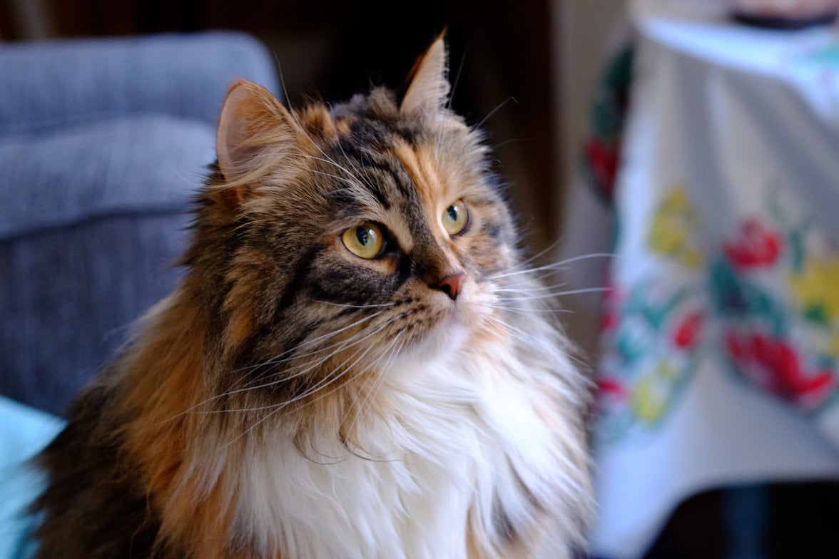 IMG_2535.jpg IMG_2535.jpg