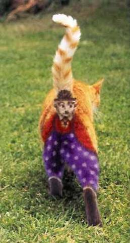 !cid_002501c76059$763db5a0$6400a8c0@PC125871246427.jpg !cid_002501c76059$763db5a0$6400a8c0@PC125871246427.jpg