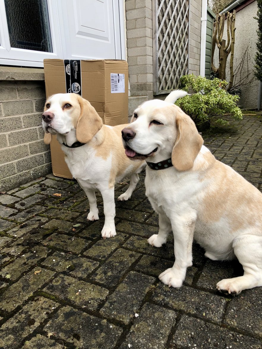 fullsizeoutput_9e7f.jpeg fullsizeoutput_9e7f.jpeg