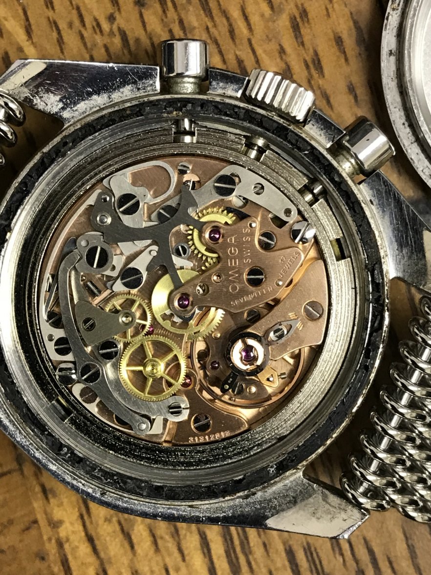 E5409E80-9801-433F-86AF-18F8E9B4FE4F.jpeg E5409E80-9801-433F-86AF-18F8E9B4FE4F.jpeg