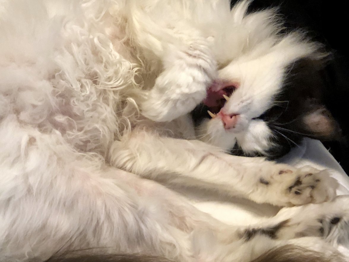 IMG_0326.jpg IMG_0326.jpg