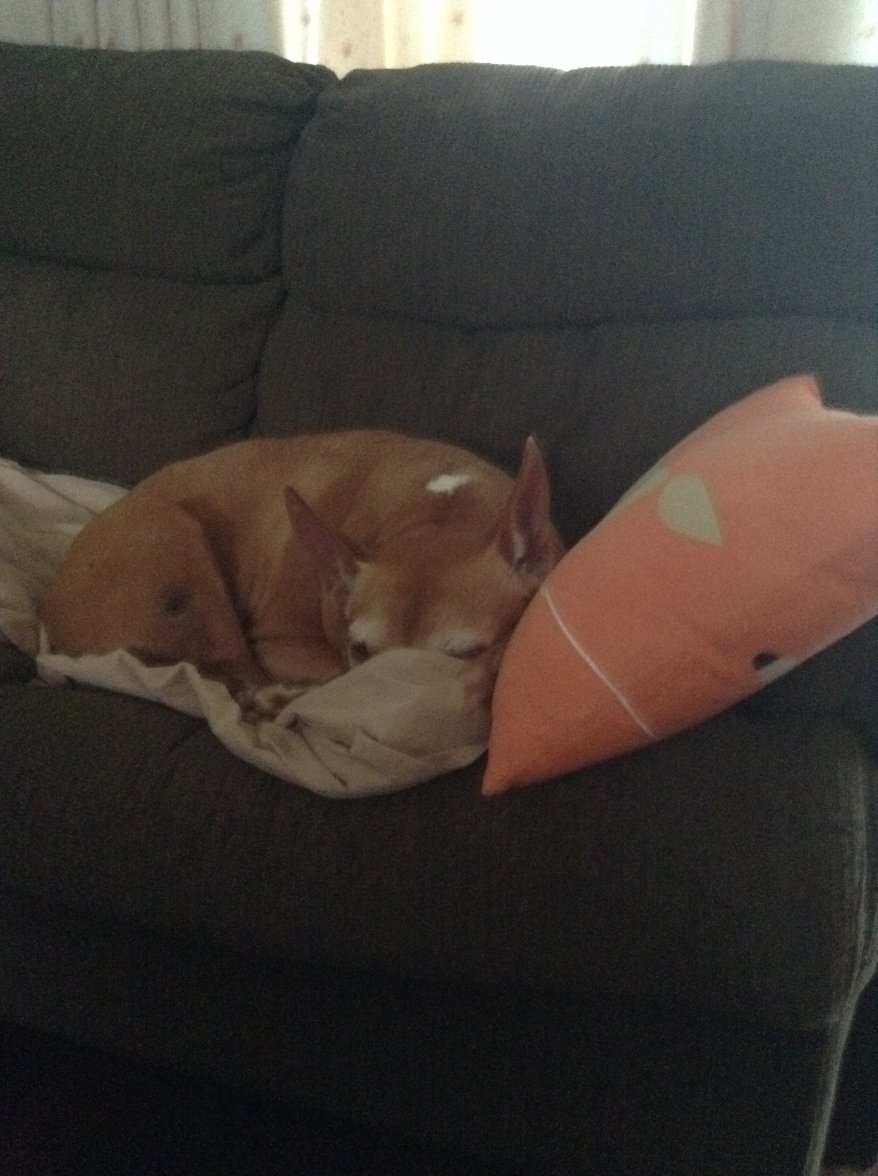 image.jpeg image.jpeg