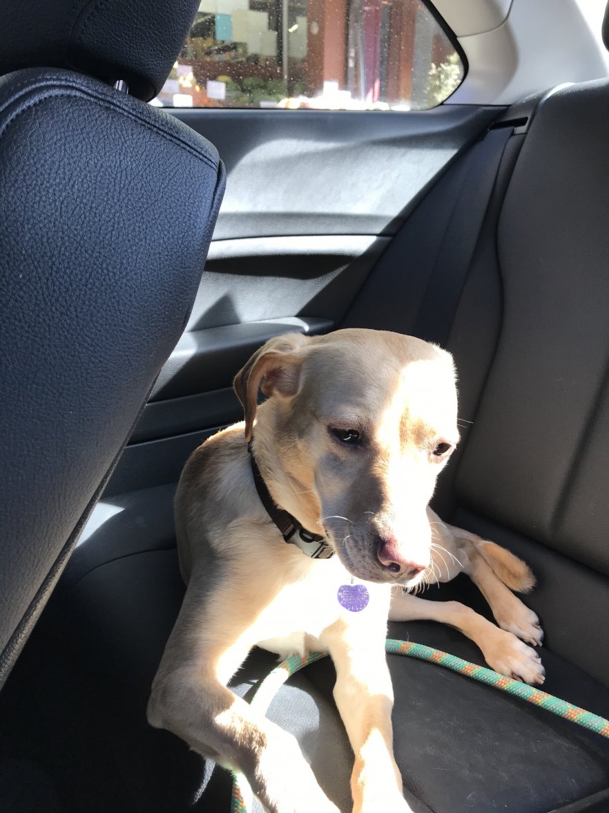 74409BF8-C83F-4E84-84EE-667E9D8582AD.jpeg 74409BF8-C83F-4E84-84EE-667E9D8582AD.jpeg