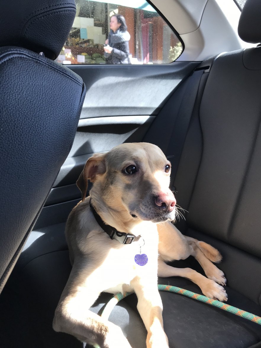 48B69BAE-FEDD-4F9E-988E-C46E32E8F100.jpeg 48B69BAE-FEDD-4F9E-988E-C46E32E8F100.jpeg