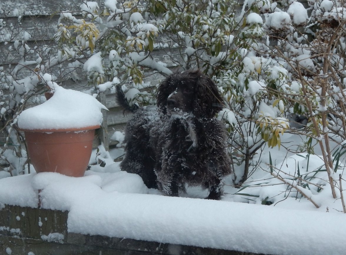 ISA 180318 B97 a.jpg ISA 180318 B97 a.jpg