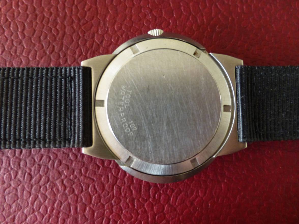 Dynamic Nato Back.JPG