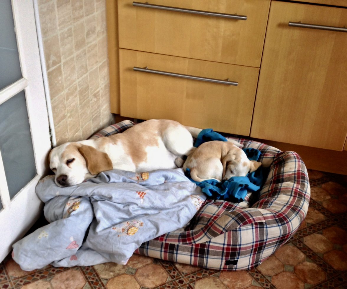 fullsizeoutput_8b24.jpeg fullsizeoutput_8b24.jpeg