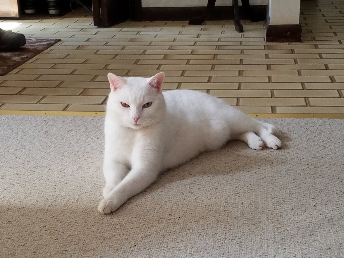 20180320_123632.jpg 20180320_123632.jpg