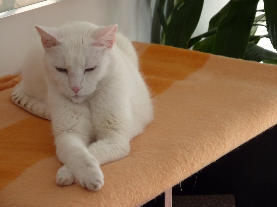 P1020201.JPG P1020201.JPG