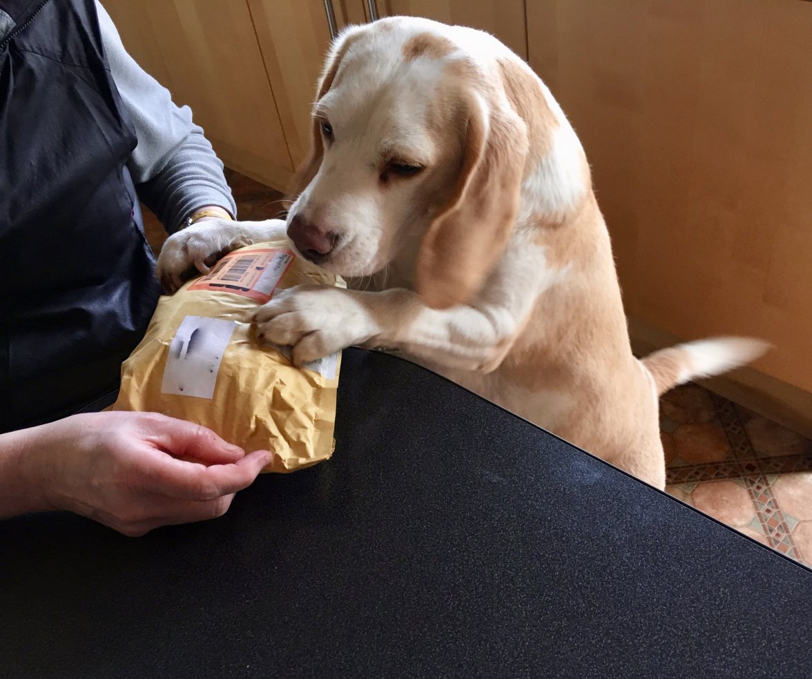 fullsizeoutput_a041.jpeg fullsizeoutput_a041.jpeg