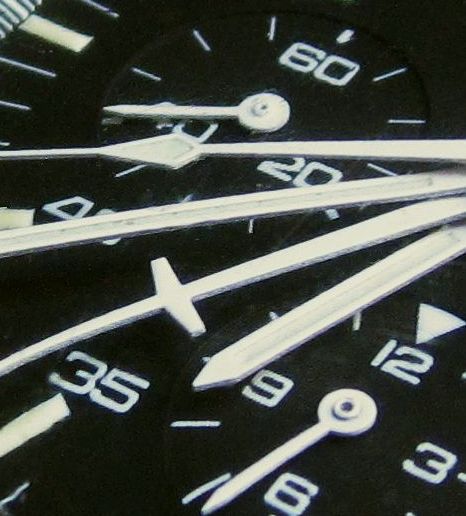 fan crop e4 IMG_2651.jpg