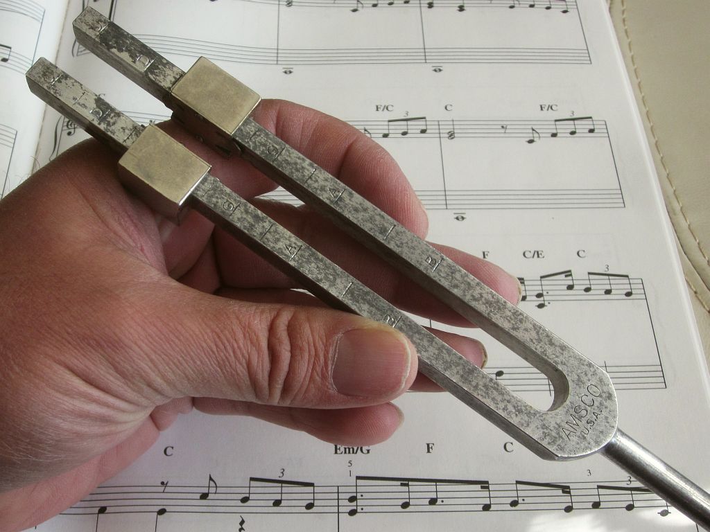ss tuning fork IMG_8321.jpg