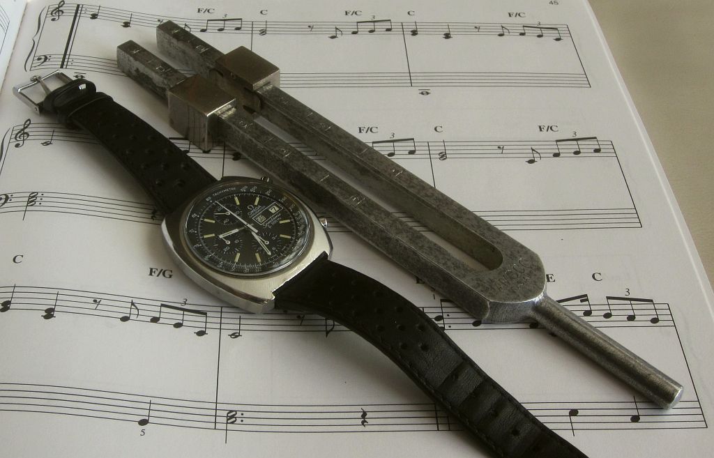 SS w tuning fork 1 IMG_8314.jpg
