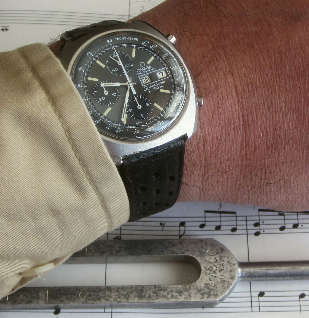 SS ws 1 IMG_8320.jpg