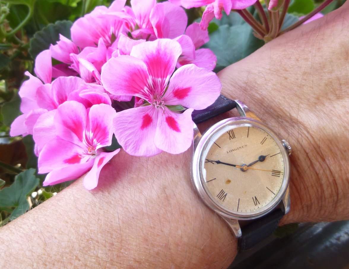 longines 4830 (10).JPG