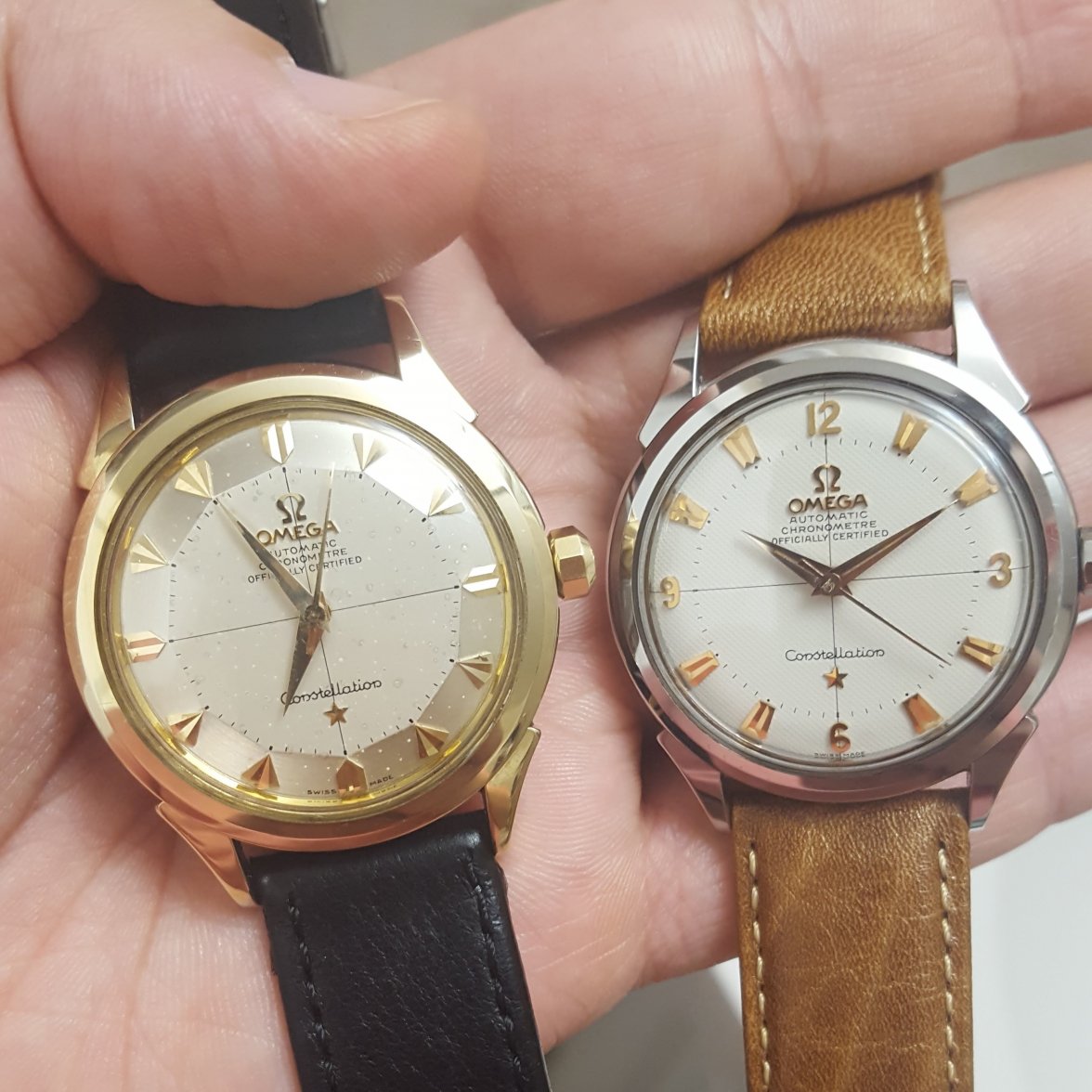 group shot 1 good.jpg