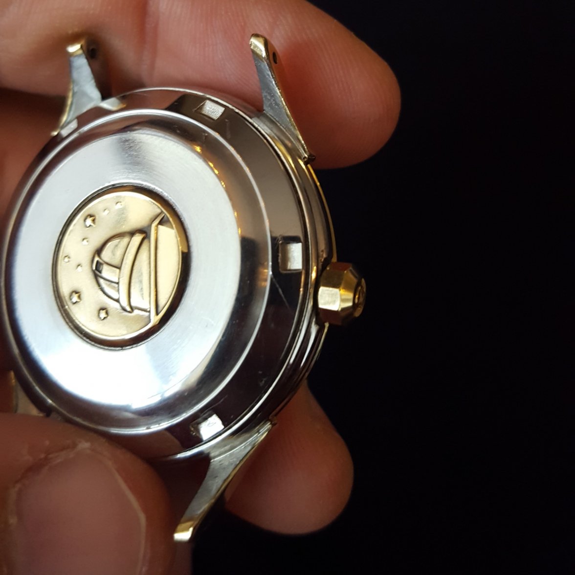 medallion and crown.jpg