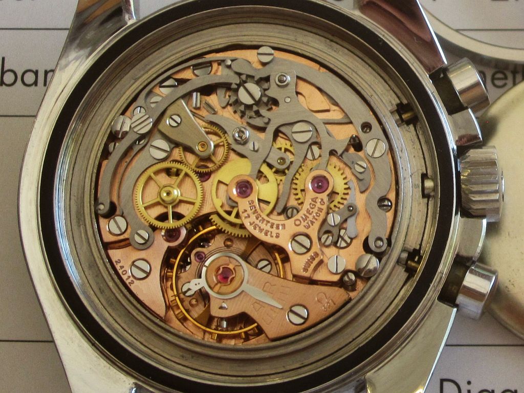 back open close up sne IMG_4142.jpg