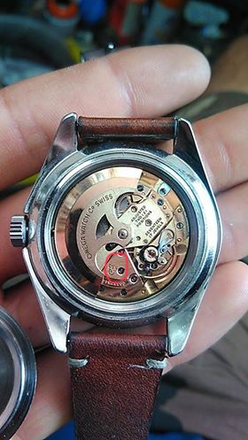 A78895BD-5245-4FE8-A2AB-A0AC6C2103BB.jpeg A78895BD-5245-4FE8-A2AB-A0AC6C2103BB.jpeg