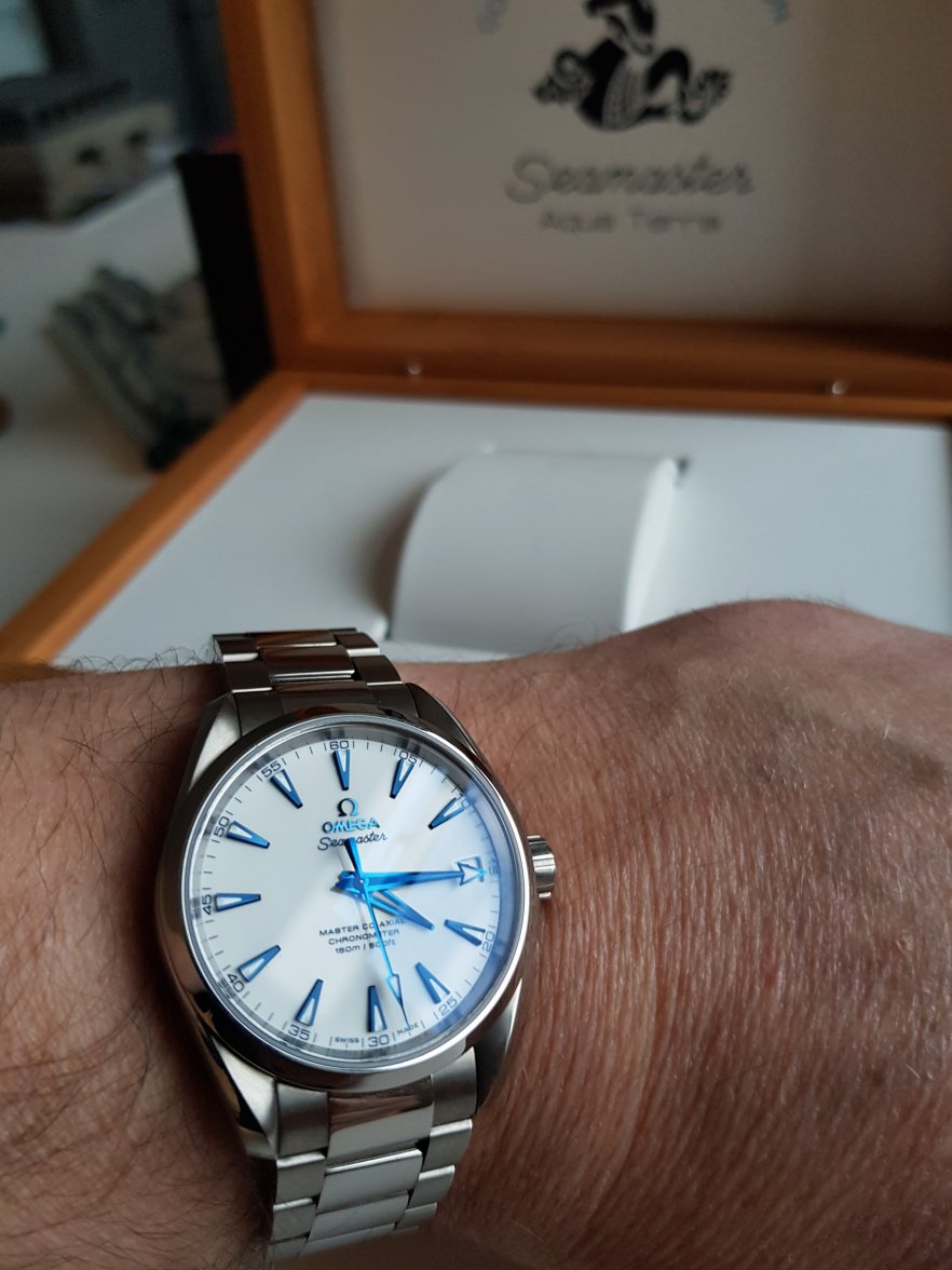 FSOT - FSOT Omega Seamaster Aqua Terra 