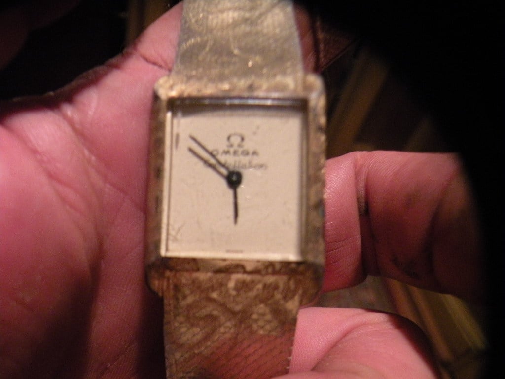 DSCN7037.JPG