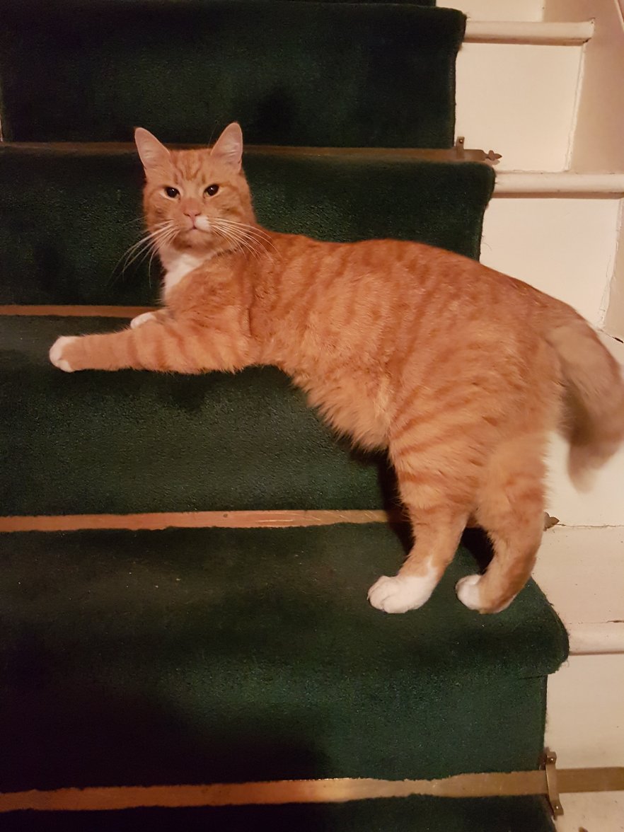 13 March 2018 517.jpg