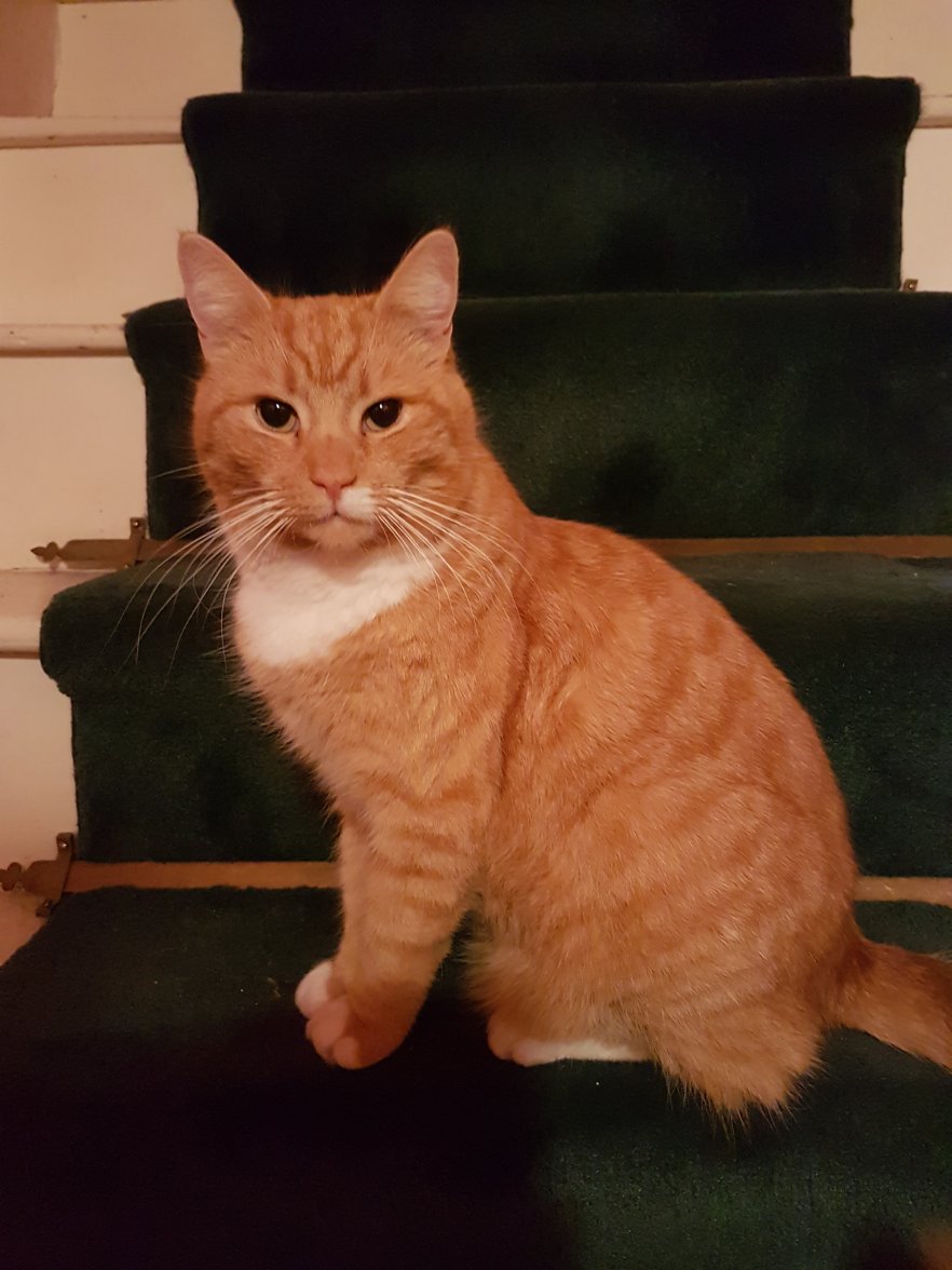 13 March 2018 519.jpg