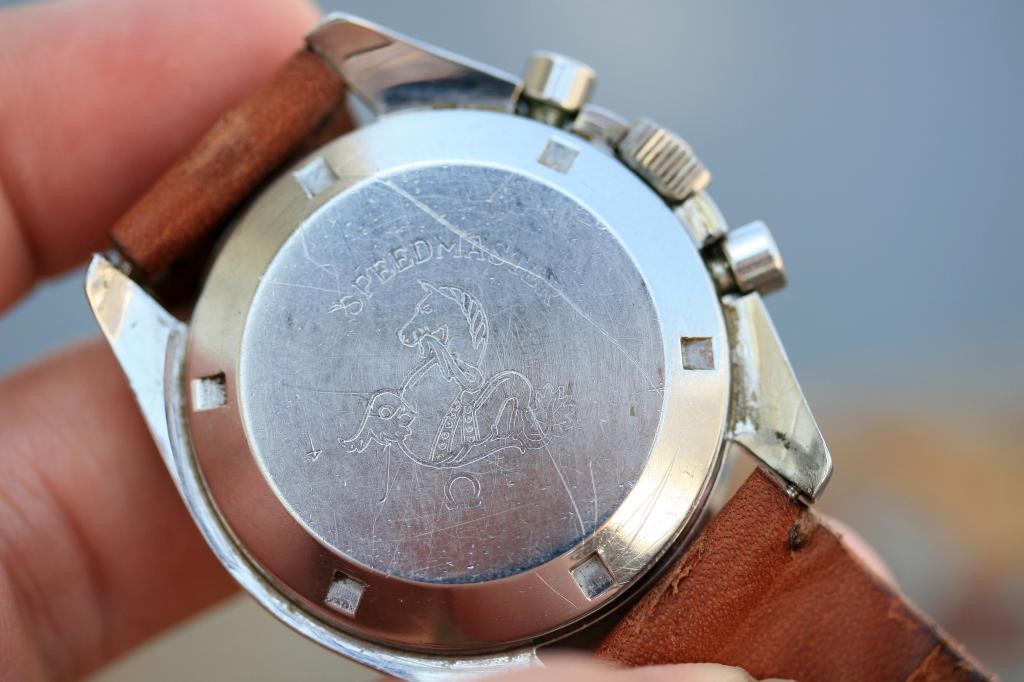 IMG_8685_zpse91d77f3.jpg IMG_8685_zpse91d77f3.jpg