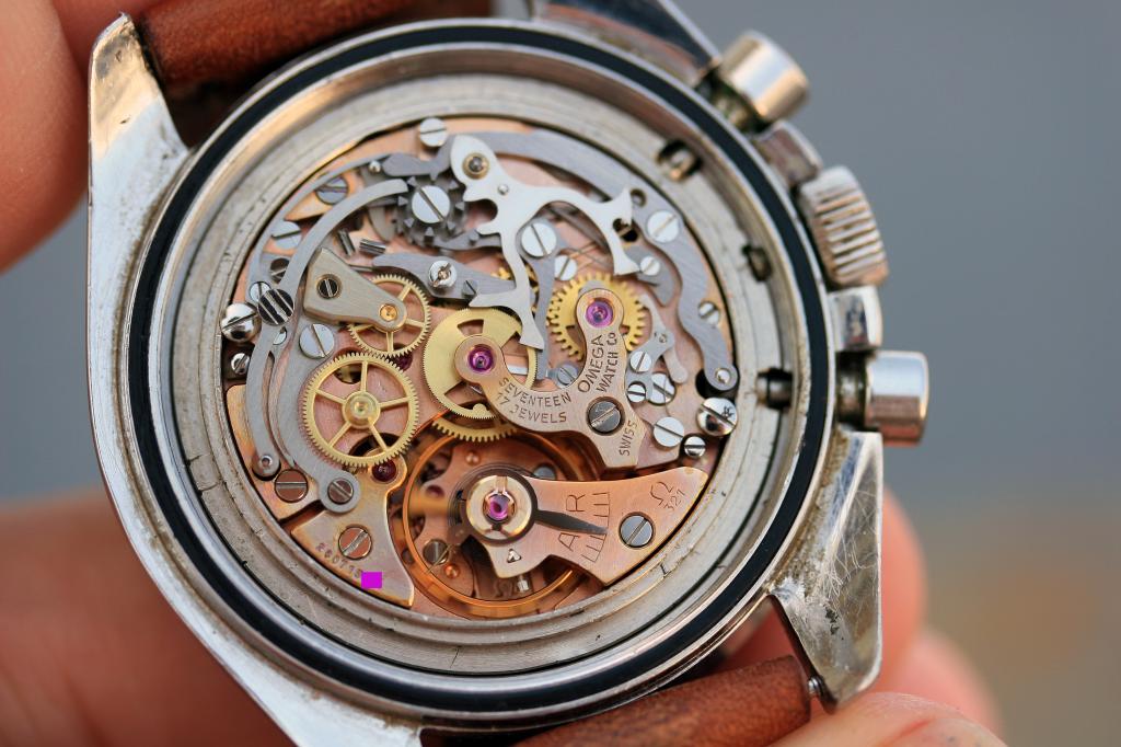 IMG_8687_zpsd07990ef.jpg IMG_8687_zpsd07990ef.jpg